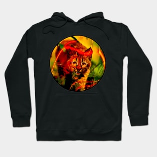 Small lynx with a smile Hoodie